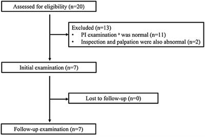 Follow-Up Study of Subdermal Low-Echoic Lesions in the Ischial Region in Wheelchair Users With Spinal Cord Injuries